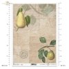 pears, fruit, twig, leaves, old inscriptions, retro, handwriting, old paper, letter, background, Birnen, Frucht, Zweig, Blätter, alte Inschriften, Retro, Handschrift, altes Papier, Brief, Hintergrund, pera, peras, fruta, ramita